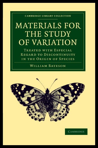 美国库房发货，通常付款后5-8周到货！