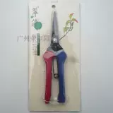 Продукт Продукт-Тайвань Cuiyu 604 Прямой рот.