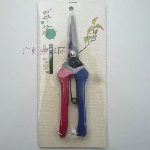 Продукт Продукт-Тайвань Cuiyu 604 Прямой рот.