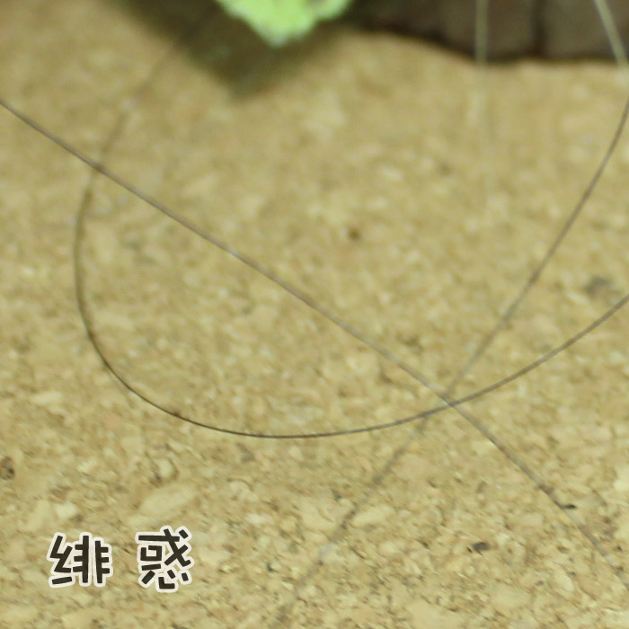 绯惑 手工DIY 超级细0.1mm鱼线 娃娃特殊用 1元8米无弹力黑色透明