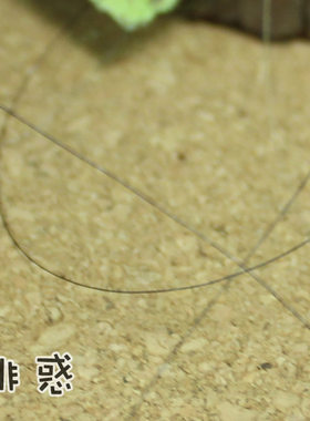 绯惑 手工DIY 超级细0.1mm鱼线 娃娃特殊用 1元8米无弹力黑色透明