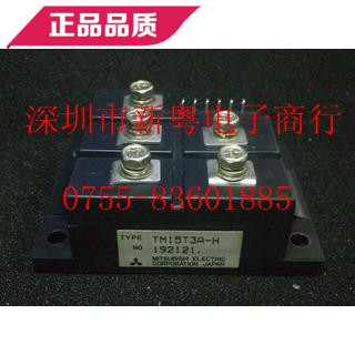 TM15T3A-H 功率模块 专业卖家 准确报价 当天发货