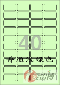 A4不干胶标签纸/打印标签纸/爱雷博浅绿色标签CL540G-100张