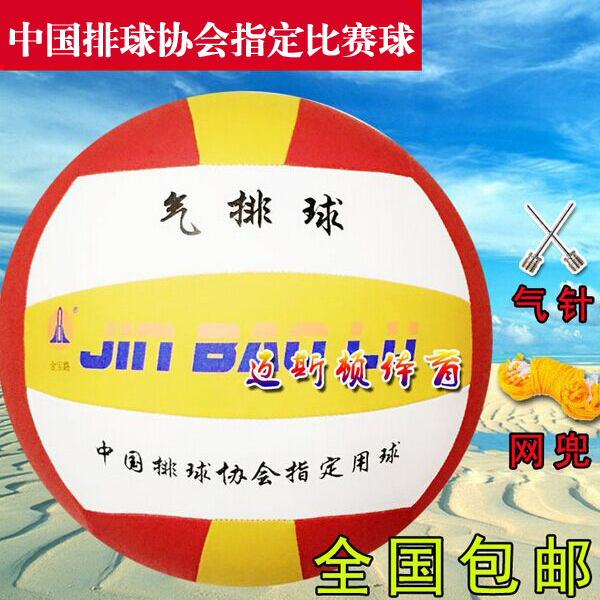 Ballon de volley - Ref 2010484 Image 1