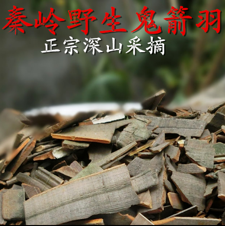 鬼箭羽 秦岭野生鬼见羽卫矛 六月凌 质量保证可磨粉 250克