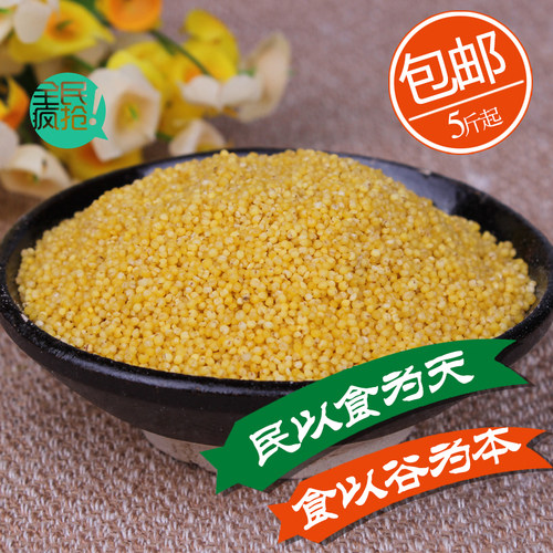 农家杂粮月子米小米粮食粗粮蔚县
