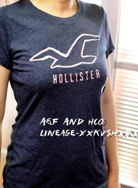 hollister短袖t恤夏装新款刺绣