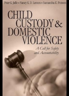 【预售】Child Custody and Domestic Violence: A Call for S