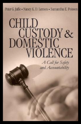 【预售】Child Custody and Domestic Violence: A Call for S