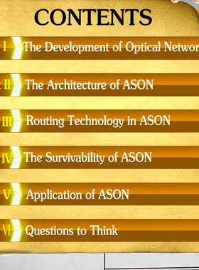 高校信息获奖Flash课件Automatically Switched Optical Network