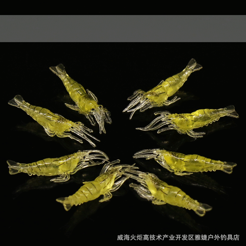 Protection sport - Ref 584890 Image 1