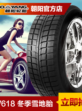 朝阳汽车轮胎275/30R20 SW618 冬季雪地胎 适用宝马 奥迪 丰田