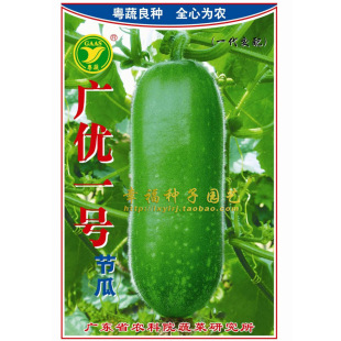 农科院【广优1号节瓜种子】小冬瓜种子 每瓜300克 结瓜容易 高产