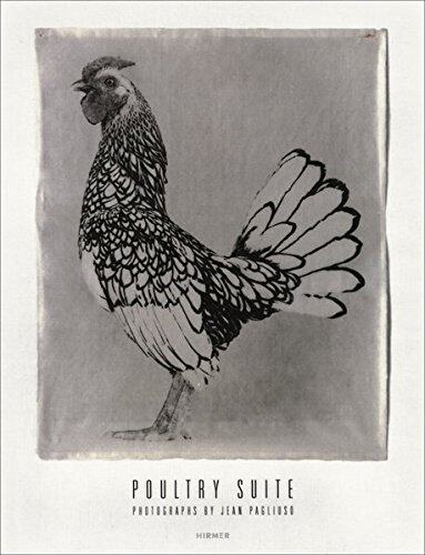 【预订】Jean Pagliuso: Poultry Suite