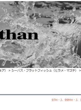 Daiwa MORETHAN BRANZINO AGS 119M/MH 海鲈鱼路亚直柄竿