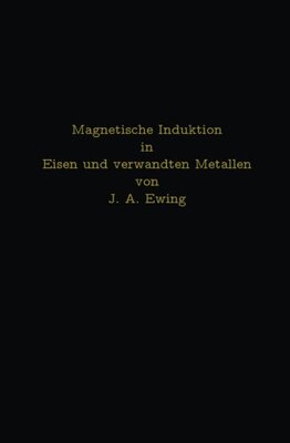 【预订】Magnetische Induktion in Eisen Und V...