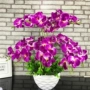 Đặc biệt hàng ngày phòng khách đồ nội thất mô phỏng Phalaenopsis chậu hoa đặt đồ trang trí đồ trang trí trong nhà nhựa giả - Trang trí nội thất đồ dcor bàn làm việc