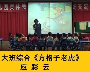 幼儿园大班综合应彩云优质课 方格子老虎