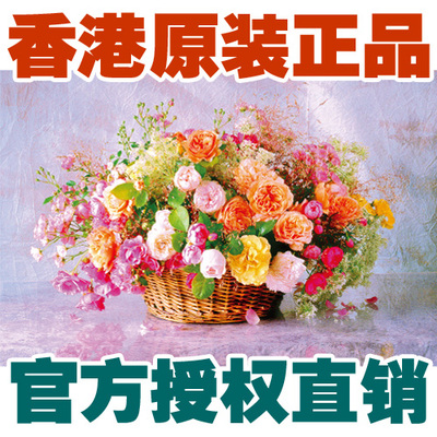 包邮 香港图美TOMAX高品质拼图 1000片 新色彩花瓶 现货直销