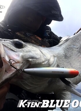 【巴拉咕嗒路亚】TACKLE HOUES BLUEOCEAN 35g沉水米诺巨物米诺