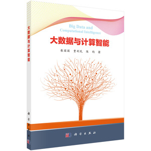 全新正版 大数据与计算智能 柴园园 贾利民 陈钧著 科学出版社
