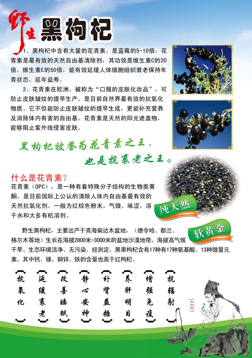 744海报印制展板写真喷绘贴纸684黑枸杞好处dm宣传单