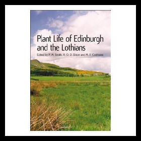 美国库房发货，通常付款后5-8周到货！