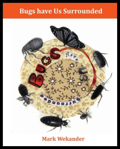 美国库房发货，通常付款后5-8周到货！