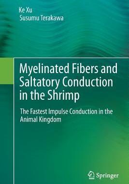 【预订】Myelinated Fibers and Saltatory Cond...