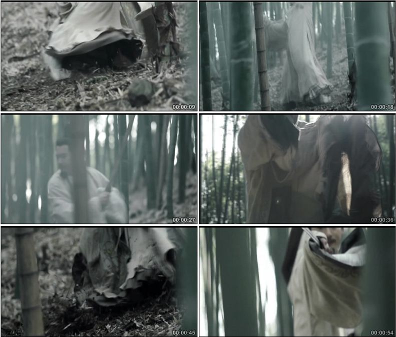 中国古代剑客文人墨客竹林舞剑高清实拍视频素材