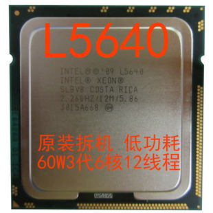 CPU L5640 Intel Xeon