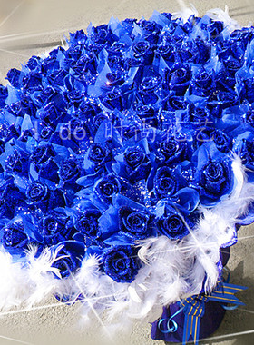情人节七夕圣诞生日鲜花99朵蓝玫瑰蓝色妖姬花束沈阳同城鲜花速递
