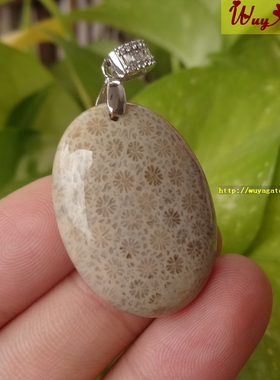 珊瑚玉百搭吊坠透光满花菊花石