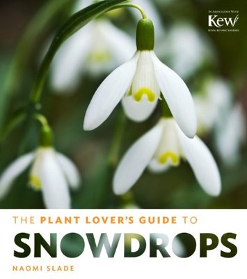 【预售】The Plant Lover's Guide to Snowdrops
