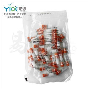 实验耗材/2.0ml可立内旋冻存管[Corning/康宁 430488] 50支/包