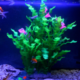 �ϾG���~��