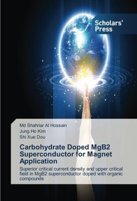 【预售】Carbohydrate Doped Mgb2 Superconduct...