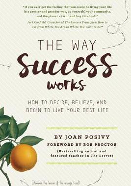【预售】The Way Success Works: How to Decide...