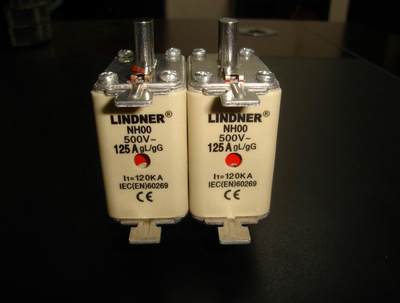 LINDNER熔断器NH00-125A gL/gG 500V120KA （带指示灯）