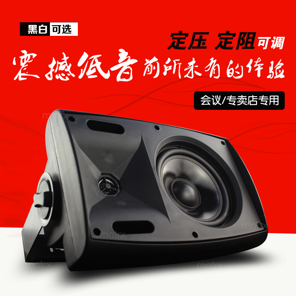 会议壁挂音箱40w背景音乐挂壁喇叭专业音箱定压定阻可调20w/30w