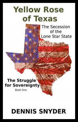 【预售】Yellow Rose of Texas: The Secession of the Lone S