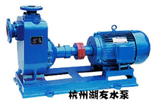 清水泵 100ZX100 高档ZX型自吸式 电机30 2KW清水泵