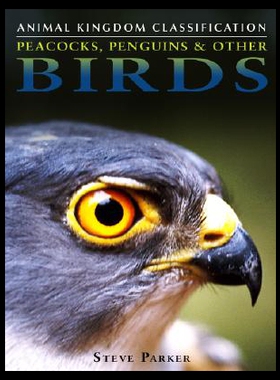 【预售】Peacocks, Penguins & Other Birds