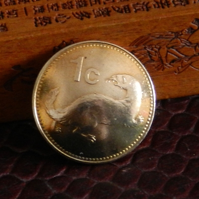 手工复古硬币扣美元扣财布扣真币扣  水獭 19MM