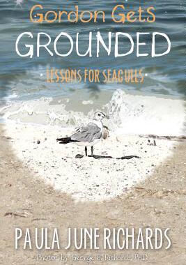 【预售】Gordon Gets Grounded: Lessons for Seagulls