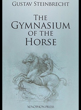 【预售】Gymnasium of the Horse
