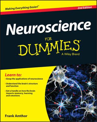 预订 Neuroscience for Dummies, 2/e