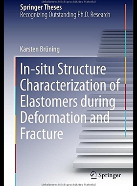 【预售】In-Situ Structure Characterization of
