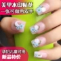 Nail mới dán Đề can móng tay Sơn móng tay Bảo vệ môi trường Phụ nữ mang thai có thể sử dụng đề can nghệ thuật móng tay - Sơn móng tay / Móng tay và móng chân nail xanh rêu