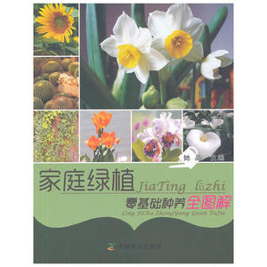 家庭绿植零基础种养全图解